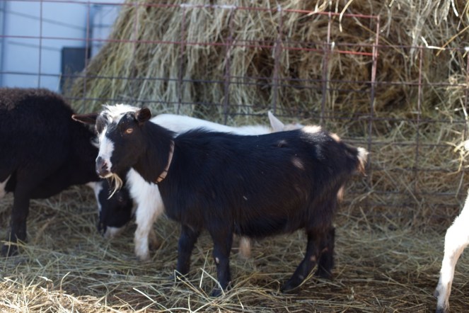 00BA9704-F458-4589-9EDD-3D6792B9BB10