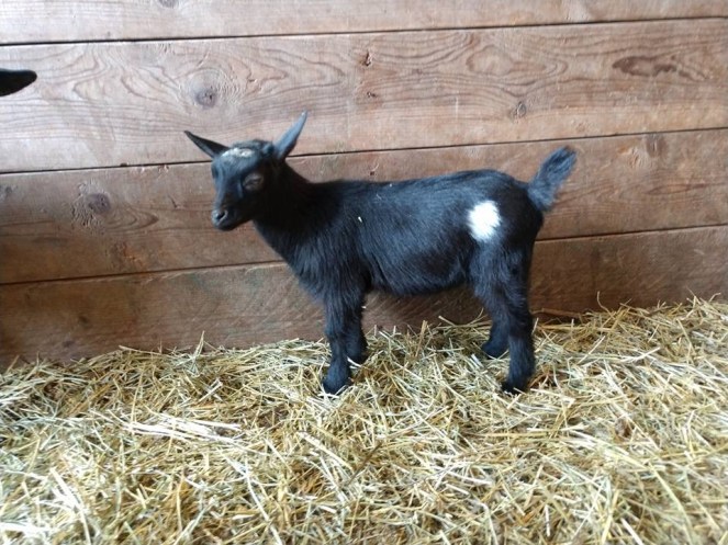 5182A39E-B638-4BB6-9F83-75661435DBA6