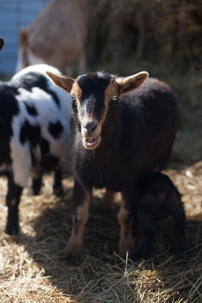 8709916A-8BAE-4A00-98B7-8D9F07513519