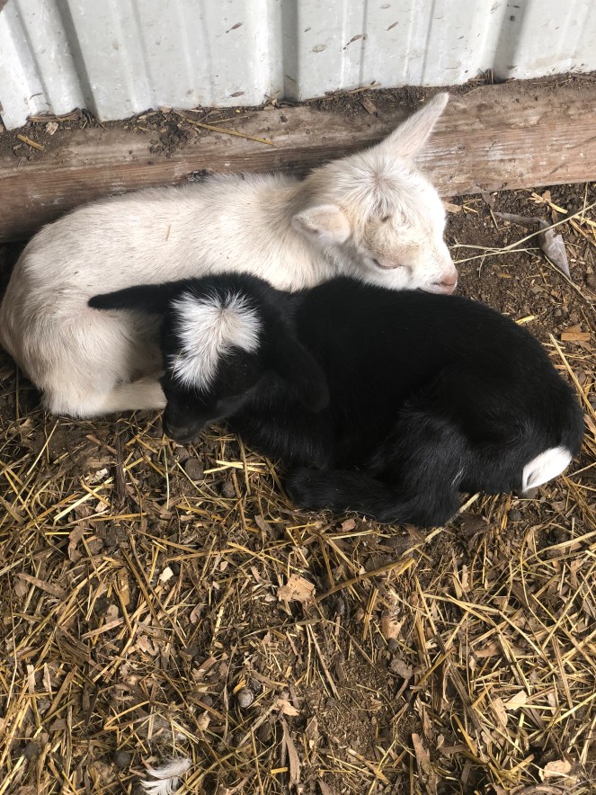 8C5E340D-92F9-418A-86F6-EDBB12AF95E3