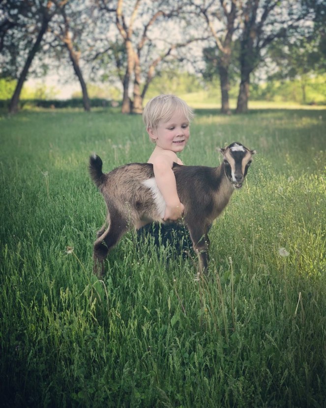 A28F0066-FB8A-4456-AD71-3FDE6C5BE9F4